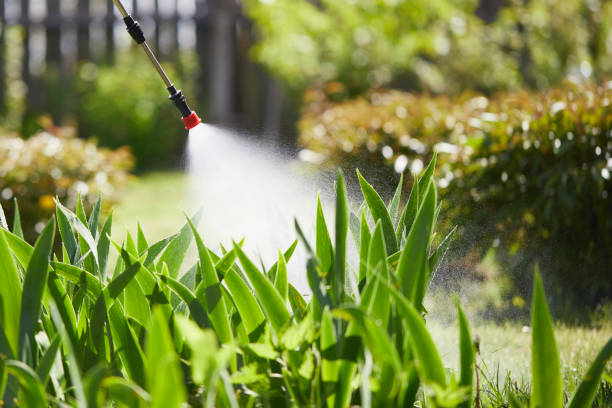 Tamper-Resistant Bait Stations for Rodents in Richgrove