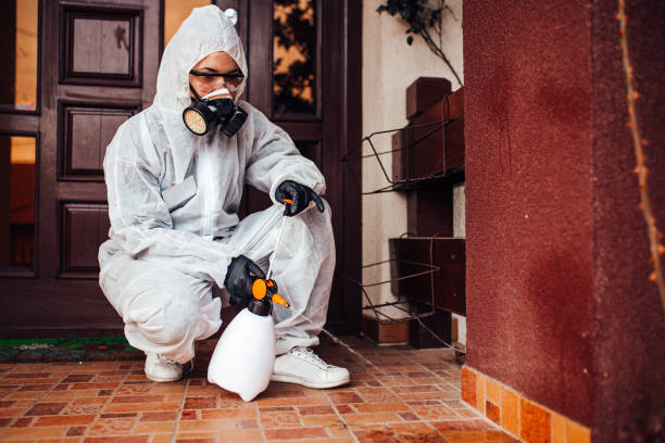 Attic and Crawl Space Rodent Treatment in Richgrove