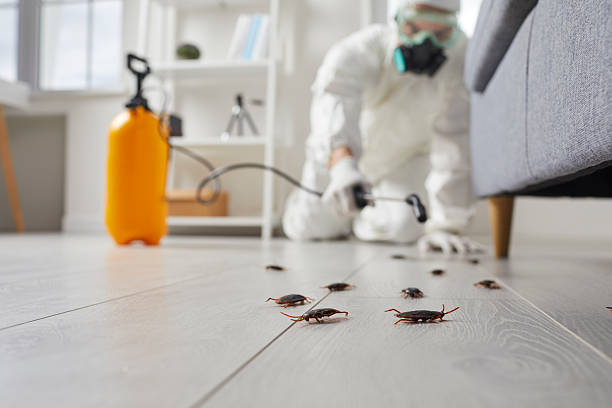 Commercial Rodent Management in Richgrove